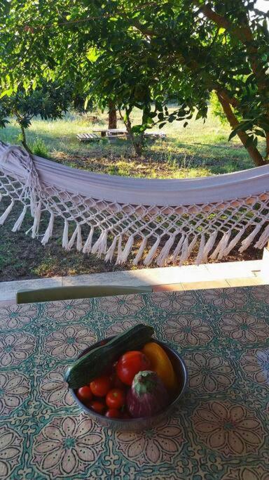 Country House Tra Lago E Mare A Sud Di Roma Villa Campoleone Exteriör bild