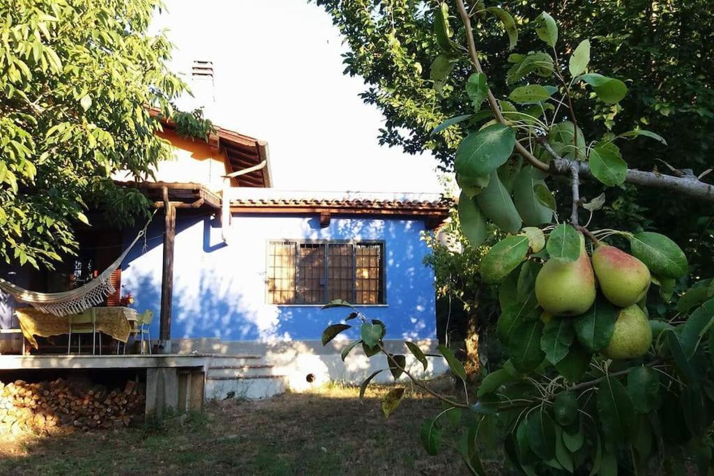 Country House Tra Lago E Mare A Sud Di Roma Villa Campoleone Exteriör bild