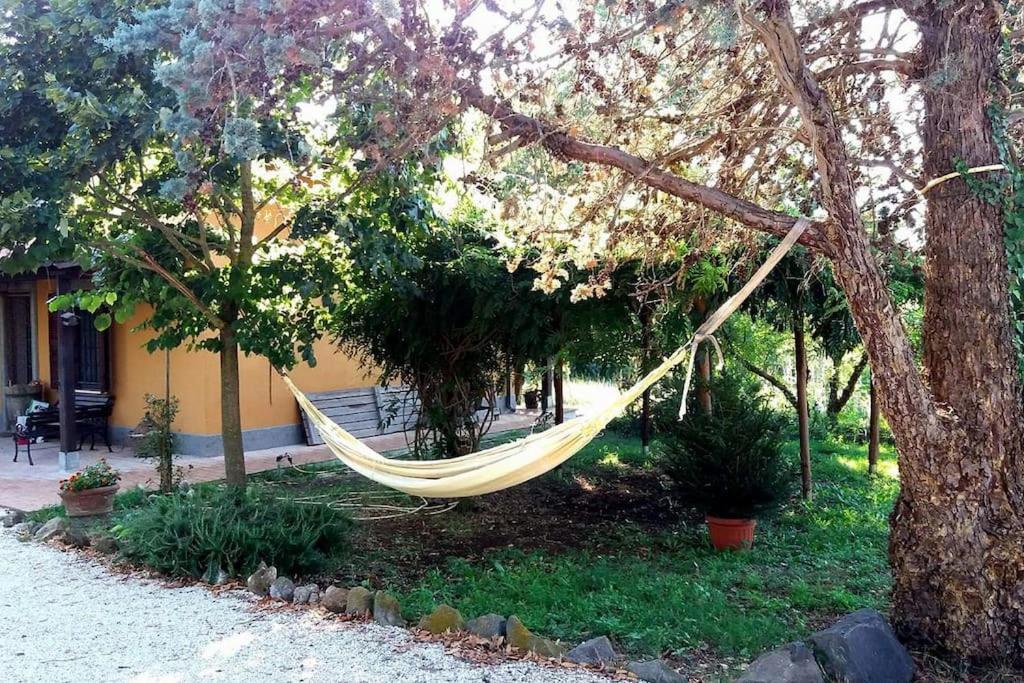 Country House Tra Lago E Mare A Sud Di Roma Villa Campoleone Exteriör bild
